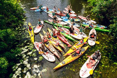 company gallery image